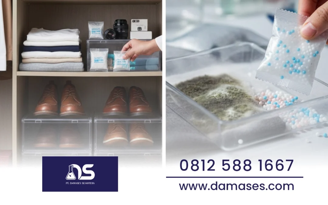 Silica Anti Jamur Ampuh: Tips Simpan Barang Bebas Lembab